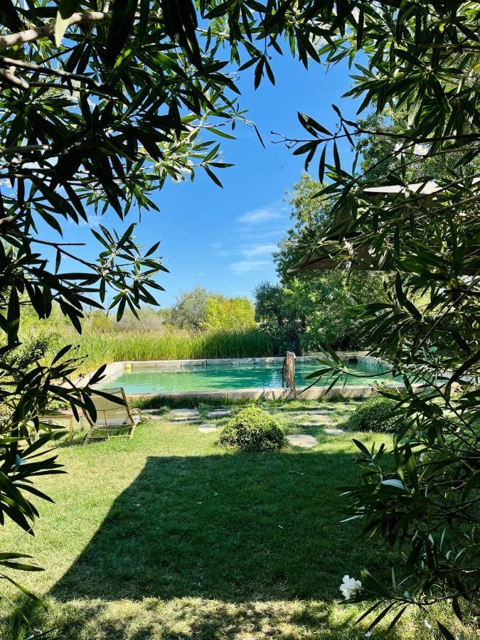 Waya A Domaine Saint Domingue *