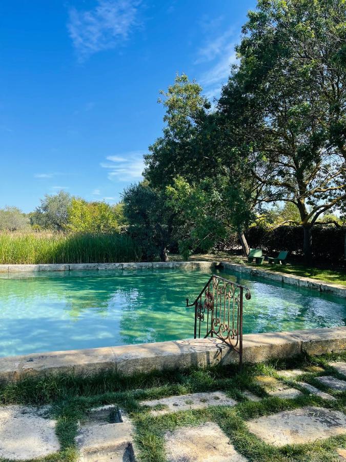 Waya A Domaine Saint Domingue Bed and breakfast Narbona